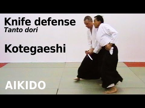 Aikido technique KOTEGAESHI against knife attacks, TANTO DORI, by Stefan Stenudd in 2007