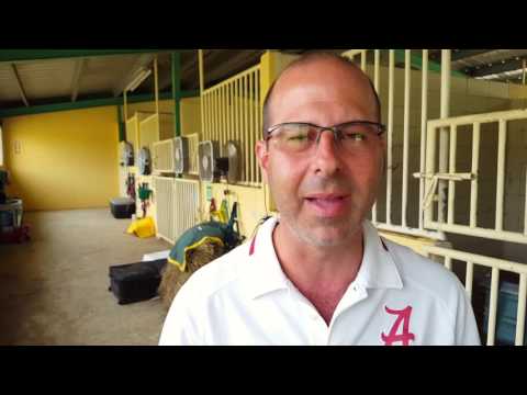 Assassin y Sparto a luchar en la Copa Confraternidad