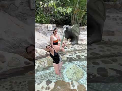 Sumérgete en un momento de descanso y bienestar Termales de Rivera, Huila 💧🌿. GreenVacationColombia