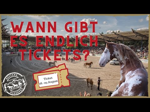 MUSTANG MAKEOVER 2021 🐴