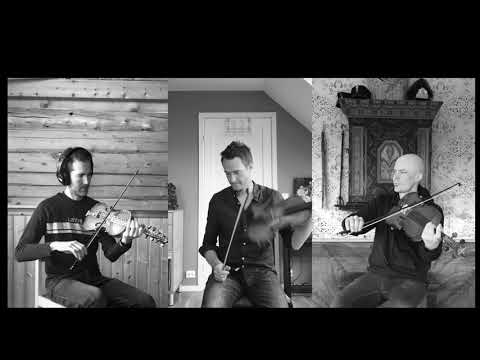 The Nordic Fiddlers Bloc - Adams Nightmare