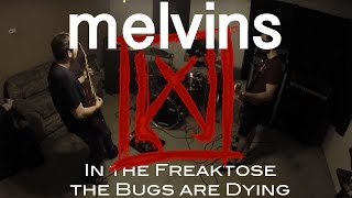 MELVINS - IN THE FREAKTOSE THE BUGS ARE DYING (WOUNDVAC cover)
