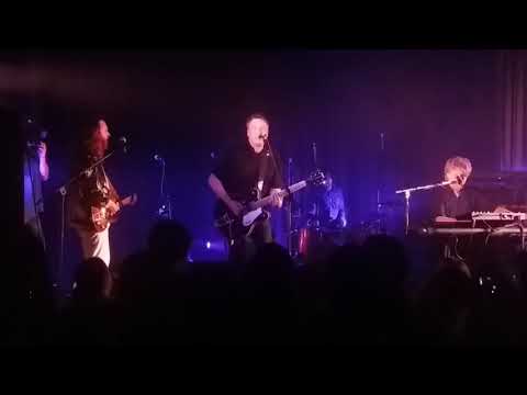 Martin joins Neil, Liam, and Elroy Finn on stage for Pink Frost