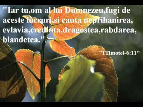 Persida Murasan - Exista un Final Al Suferintei