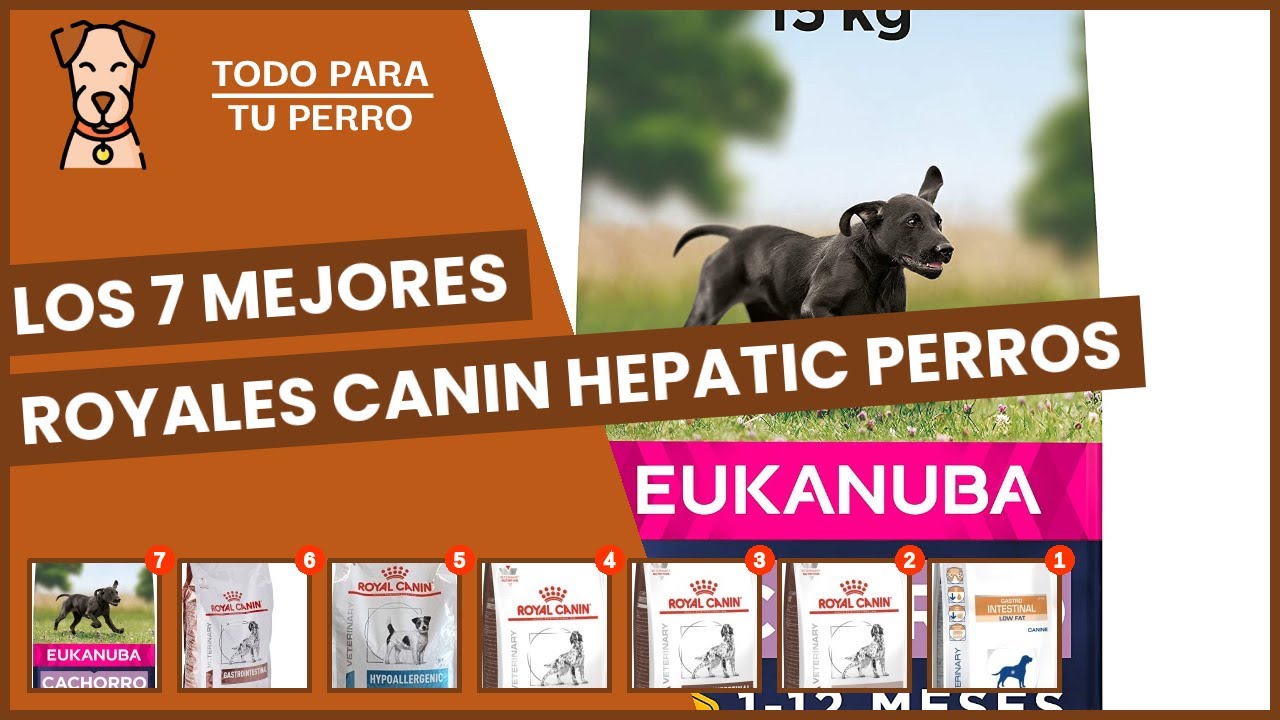 Watch Los 7 mejores royales canin hepatic perros Now Los 7 mejores royales canin hepatic perros