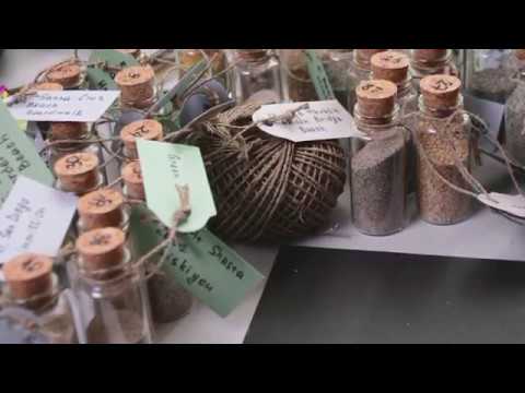 Collection Of Sand From All Over The World