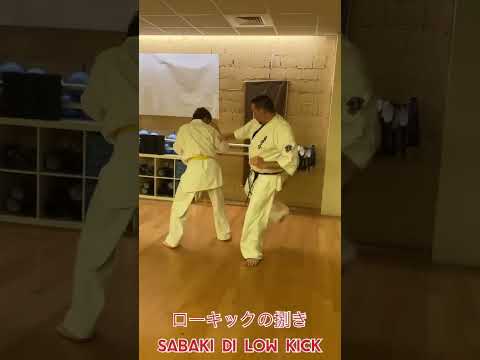 Sabaki su low interno ed esterno インローと外のローキックの捌き#byakurenkaikan #kyokushin #karate