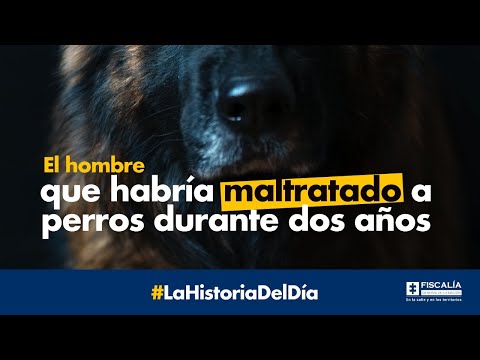 El hombre que habría maltratado a perros durante dos años