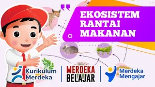 Download lagu GRADE 5 SCIENCE AND SOCIAL STUDIES LEARNING VIDEO: HARMONY IN ECOSYSTEMS 🔥FREEDOM TO LEARN🔥 mp3