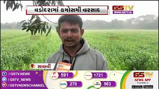 Savli : ધરતી પુત્રોની વધી ચિંતા | Gstv Gujarati News