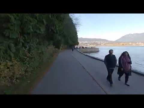 Certainly baby there 1005544