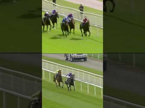 Who Did It Better…? 👀 SEA THE STARS vs. BAAEED #EborFestival