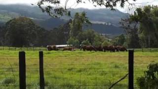 preview picture of video 'Guadalupe - Cerro Punta - Las Nubes'