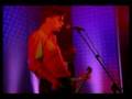 suede - pantomime horse live 