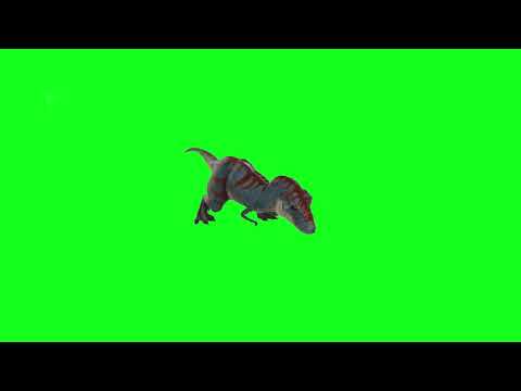 Green screen T Rex dinosaur scaring with wide mouth open   FREE Editing Stock