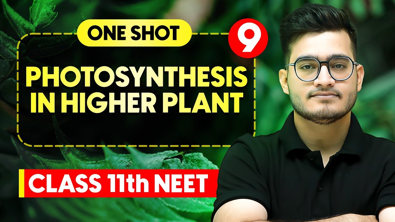 PHOTOSYNTHESIS IN HIGHER PLANTS - Complete Chapter in One Video || Concepts+PYQs || Class 11th NEET