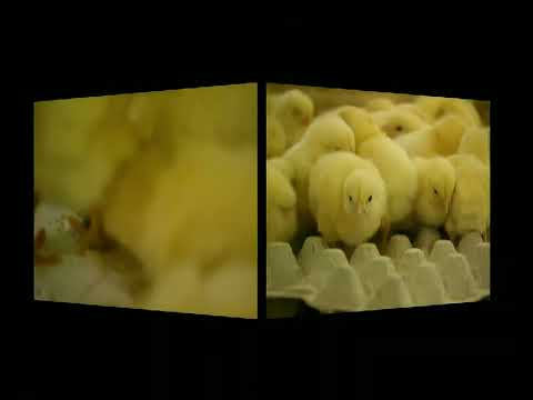 Pick and Pen - I changed my mind