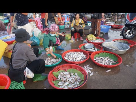 Amazing Big Stie Distribute alive Fish, Dry Fish, Seafood & More - PrekPhnov Fish Market