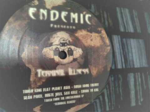 Endemic Feat Sean Price & Ruste Juxx - Comin To Kill