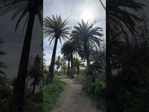 En Santo Domingo, Chile tenemos un espectacular parque de 150 años, la Hacienda Parque Bucalemu.