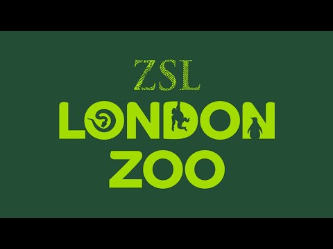 zsl london zoo virtual tour 4k 60fps