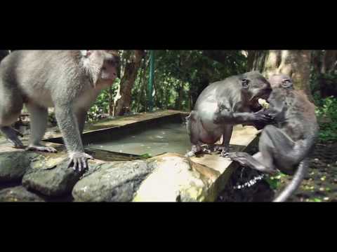 10. Tag Corona Ausgangssperre 26.03.2020 - mathias prachensky - diekulisse © 2020