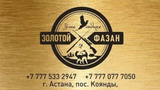 Магазин Золотой Фазан Волгодонск Каталог Товаров