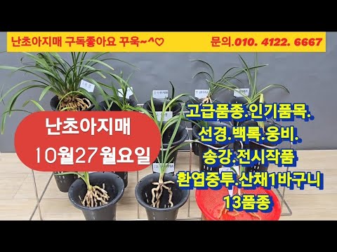 유튜브 썸네일