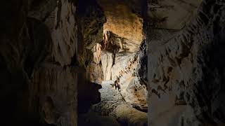 #homecomingsurprise #rubyfalls #vacation #tennessee #vacation  #chattanooga #tennesseemoutains