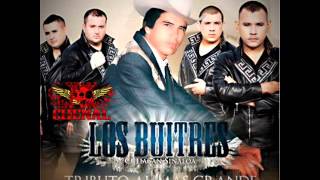 Los Buitres De Culiacan - Los Chismes