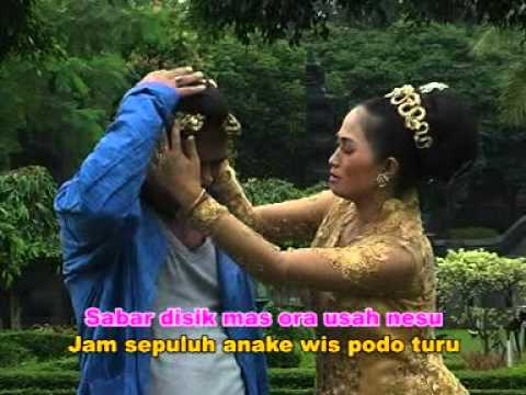 sinten remen,susu jaran teji