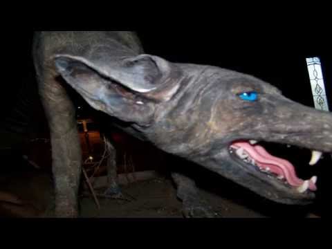 "Der Chupacabra ("Ziegensauger")" Creepypasta (German)