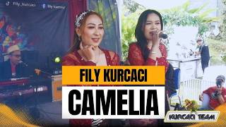 Download lagu CAMELIA (irwansyah) TANJIDOR Version mp3 Download lagu CAMELIA (irwansyah) TANJIDOR Version mp3