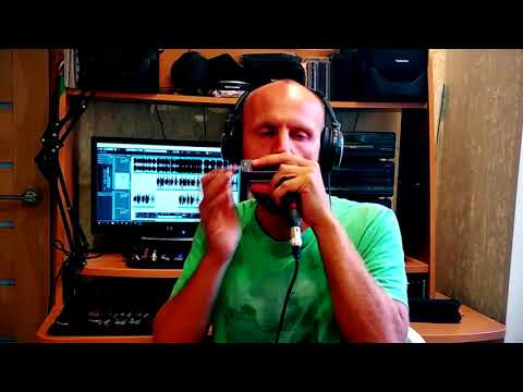 Dubharp harmonica cover - Enya - Boadicea