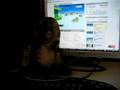 Pigloo Mon Chat