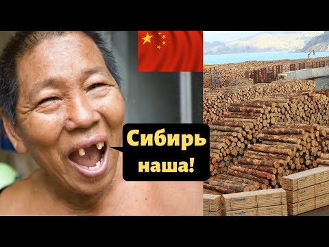 КИТАЙ ЗАХВАТЫВАЕТ СИБИРЬ