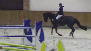 Video koně Contendro World