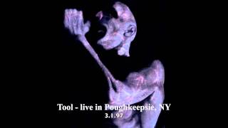 Tool - Merkaba / Sober (live Poughkeepsie 97) - HQ audio