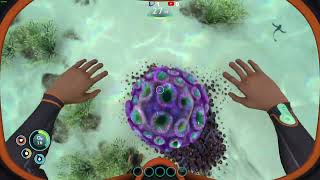 Subnautica