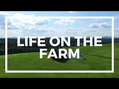 Life on the Farm | Moneta, Virginia