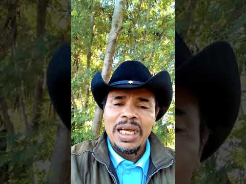 A última vez que montei em cavalo de rodeio