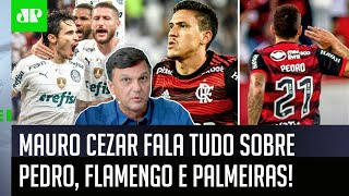‘Foi uma coisa fabricada, matérias imundas’: Mauro Cezar é direto sobre Pedro, Flamengo e Palmeiras