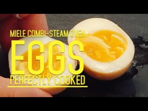 download lagu mp3 mp4 Eggs In Steam Oven, download lagu Eggs In Steam Oven gratis, unduh video klip Eggs In Steam Oven