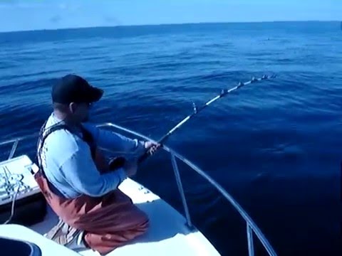 300_BlueFin_Tuna.MPG