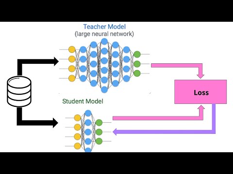 Unlocking Efficiency: Training and Optimization of Distiller SR