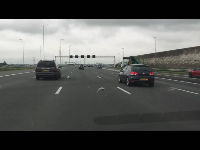 Голубь устроил гонки с автомобилями на шоссе: ВИДЕО