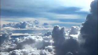 Little Auk   Wooly Clouds 1 1 1