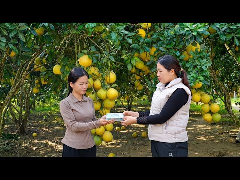 Han, che vende pomelo al mercato locale, incontra una donna gentile e accade un miracolo