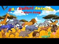 ABC Safari Tiere 13TH12 ABC Zoo Tiere Mehr Lied Kinderfernsehen