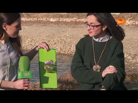 Ne Shtepine Tone, 20 Shkurt 2017, Pjesa 5 - Top Channel Albania - Entertainment Show